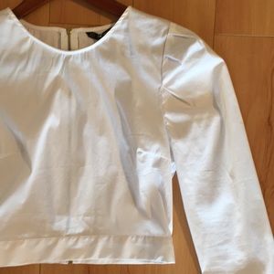 Zara basic white cotton crop top